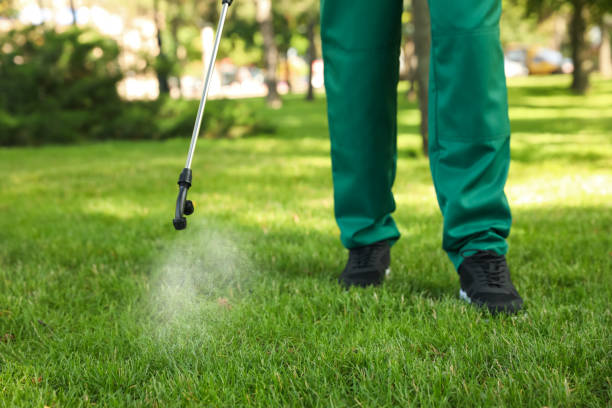 Best Insect Control  in Sylacauga, AL