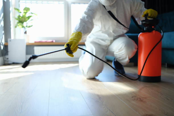 Flea Control Services in Sylacauga, AL