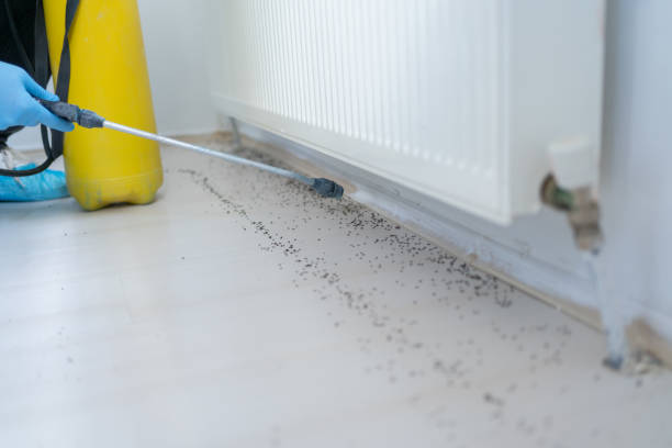 Best Rat Extermination Near Me  in Sylacauga, AL