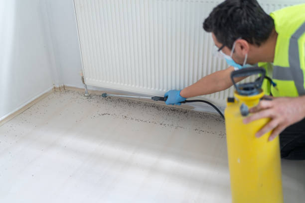 Best Exterminator Services  in Sylacauga, AL